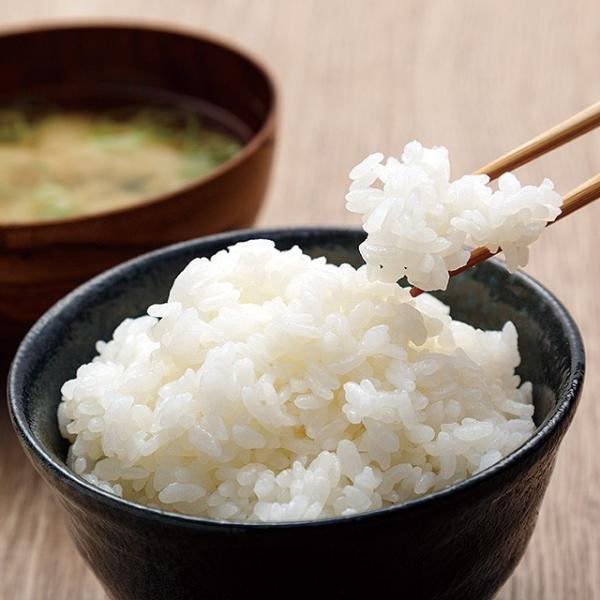 白米 天のつぶ 10kgの人気商品・通販・価格比較 - 価格.com 白米 天のつぶ 10kgの人気商品・通販・価格比較 - 価格.com