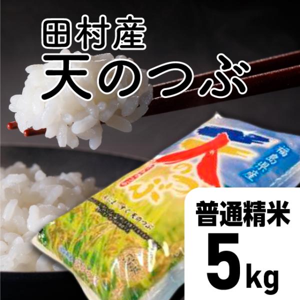 特別価格【令和7年産】天のつぶ 普通精米 5kg 福島県 田村市 送料込 天のつぶ精米