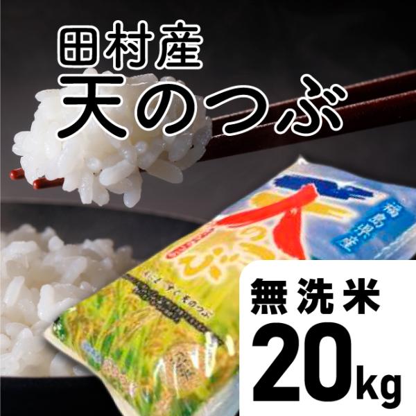 特別価格【令和7年産】天のつぶ 無洗米 20kg 福島県 田村市 送料込