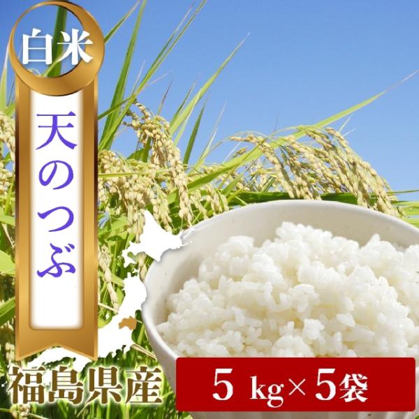 とっても美味しいと大人気・令和7年産米「福島県産・天のつぶ」5kg ×2袋 fukushima-shop_tennotubui-5-5set