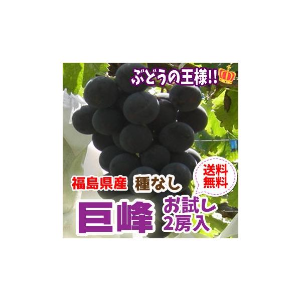 ぶどう 巨峰 種なし 2房セット 福島県産 発送時期:9月上旬頃〜9月末頃まで予定　※沖縄県への発送不可