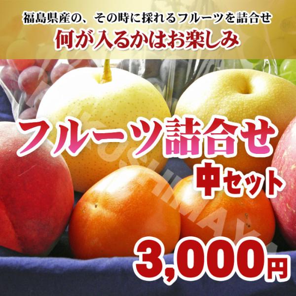 季節限定 フルーツ 詰合せ (中) 福島県産 果物 発送時期:10月中旬頃〜1月中旬頃まで