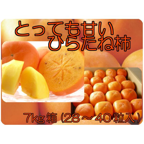 Ђ炽 `  7kg i28`40j j`  эY g 10{`11{܂ŗ\