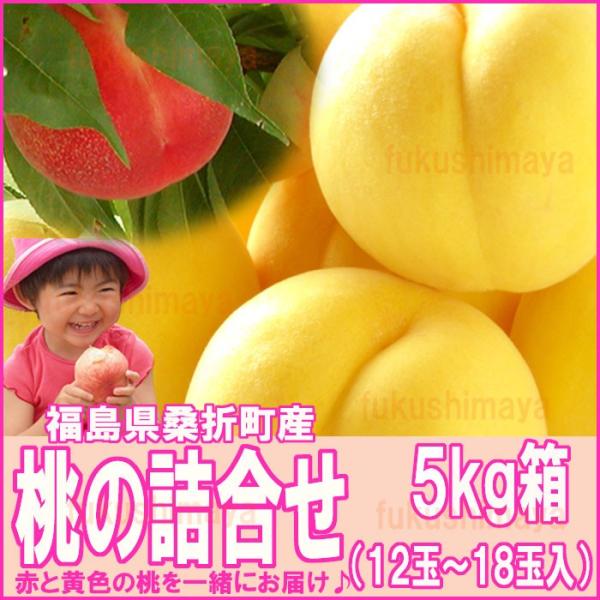 桃 詰合せ 福島県 献上桃の郷 桑折町産 5kg箱 12〜18玉入 ※沖縄県への発送不可