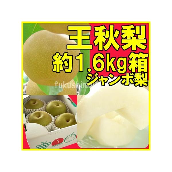 ふくしまプライド。体感キャンペーン（果物/野菜）■ジャンボサイズで大きいサイズになると1kg超にもなる品種、秋峰梨です。◆梨:王秋(福島市・萱場産)◆内容量:約1.6kg箱(3~5玉入)■梨の形について:王秋は若干楕円形の形をした梨となりま...