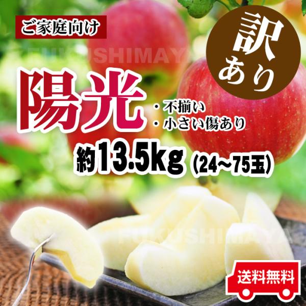 りんご 訳あり 格安 訳アリ 家庭用 陽光 約13.5kg箱 (9kg箱+4.5kg箱) 24玉〜75玉 福島県産 （10月中旬頃〜11月上旬頃まで発送予定）　※沖縄県への発送不可