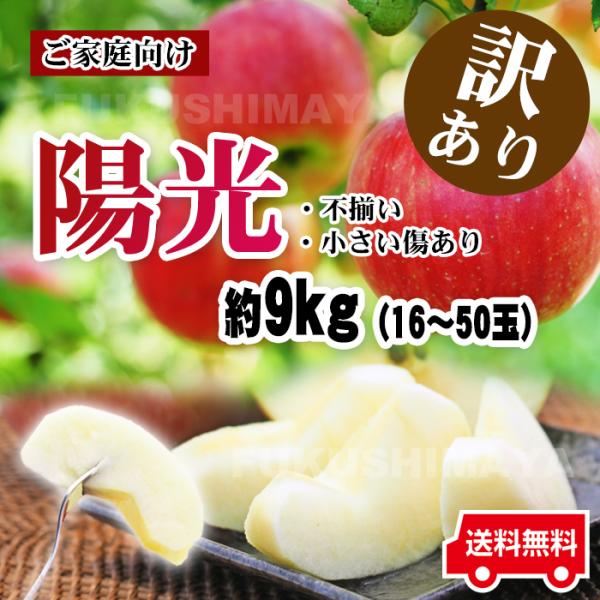 りんご 訳あり 格安 訳アリ 家庭用 陽光 約9kg箱 16玉〜50玉 福島県産 （10月中旬〜11月上旬頃まで発送予定）　※沖縄県への発送不可