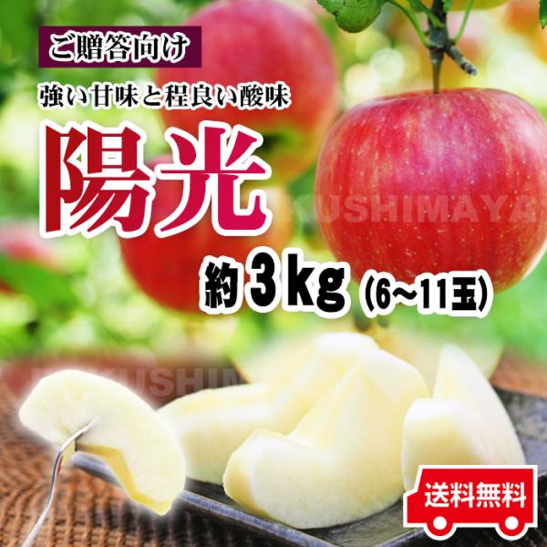 陽光 りんご リンゴ 約3kg箱 6〜11玉入 ようこう 贈答用 福島県産 （10月中旬頃〜11月上旬頃まで発送予定）　※沖縄県への発送不可