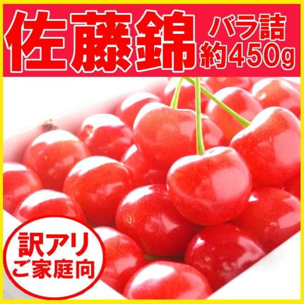 佐藤錦 訳あり さくらんぼ 約450g 福島県産 発送時期：6月中旬〜6月下旬頃まで予定　※沖縄県への発送不可