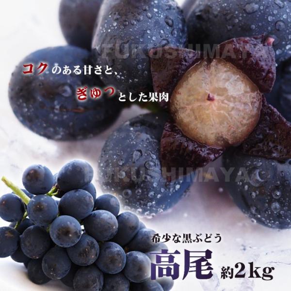 ぶどう 高尾 種なし 約2kg箱 3〜6房入 福島県産 発送時期:9月中旬頃から発送予定　※沖縄県への発送不可