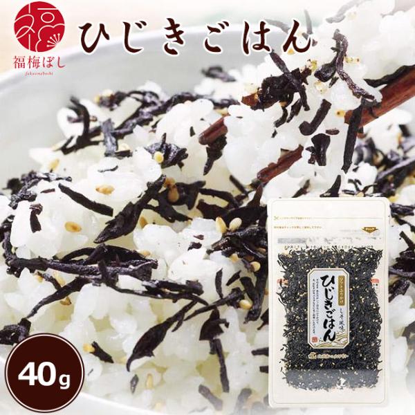 ふりかけ ごはんのお供 ひじきごはん 40ｇ入   ごはんのお供 ソフトふりかけ 混ぜごはん おにぎり　お取り寄せ グルメ ポイント利用