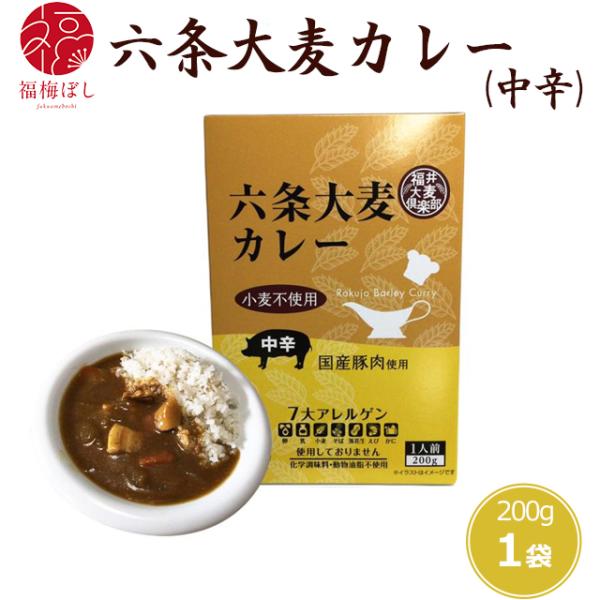 福井大麦倶楽部 レトルト六条大麦カレー　中辛　国産豚肉使用　非常食　お取り寄せ グルメ ポイント利用