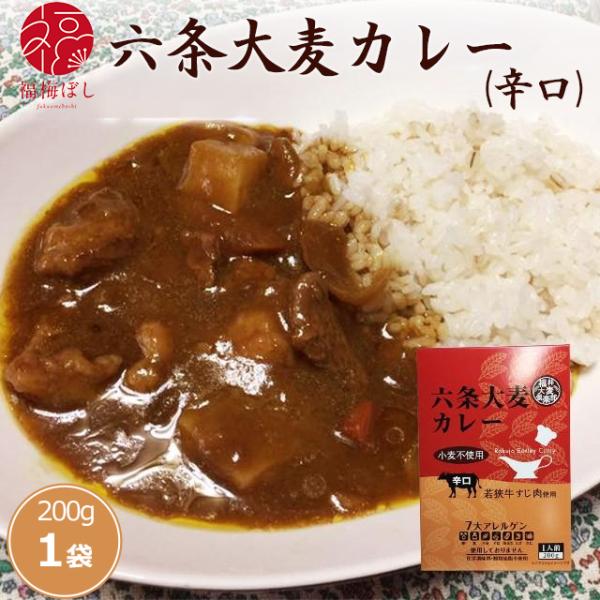六条大麦レトルトカレー　辛口　若狭牛すじ肉使用　福井大麦倶楽部　1人前200ｇ入　非常食　お取り寄せ グルメ ポイント利用