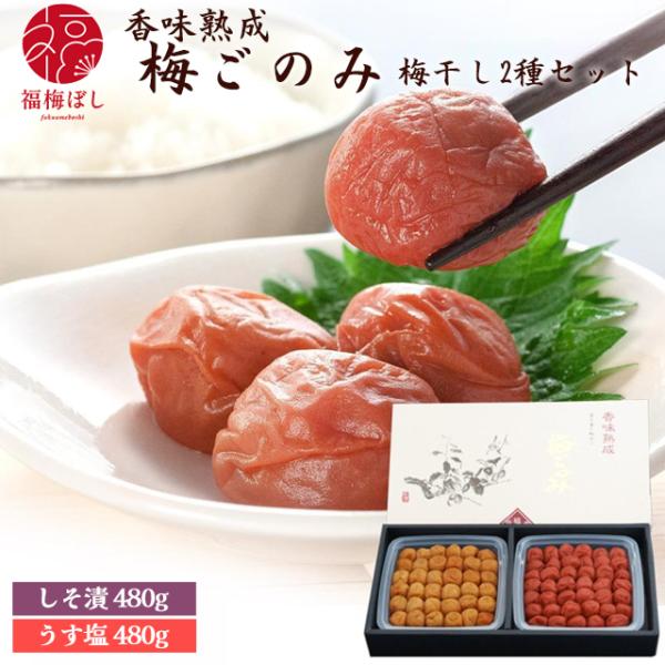 母の日 2026  ギフト 梅干し 無添加しそ漬とうす塩味 各480g入 梅ごのみ 福梅ぼし  贈り物 ギフト お土産 出産内祝い 引き出物 内祝 母の日 お祝い グルメ