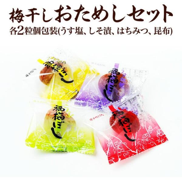 爆買 福梅の定番の味4種類が個包装になったおためしセット♪個包装のため、手を汚さずに食べられます。スポーツや旅行、ドライブ、お弁当に最適です。 ネコポスでお届けいたします。（ポストインの為、着日・時間指定は出来ませんのでご了承お願い致します...