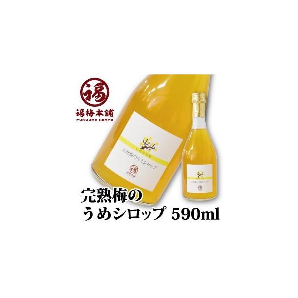 ~Vbv 썂~ a̎R n~ Mtg v[g ߗp  n~̂߃W[X 590ml