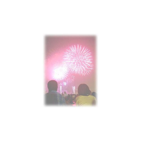 お任せ花火セット １５ ０００円 Portal Caymangateway Com