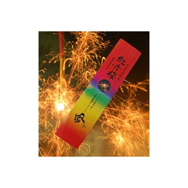 花火の人気商品 通販 価格比較 価格 Com