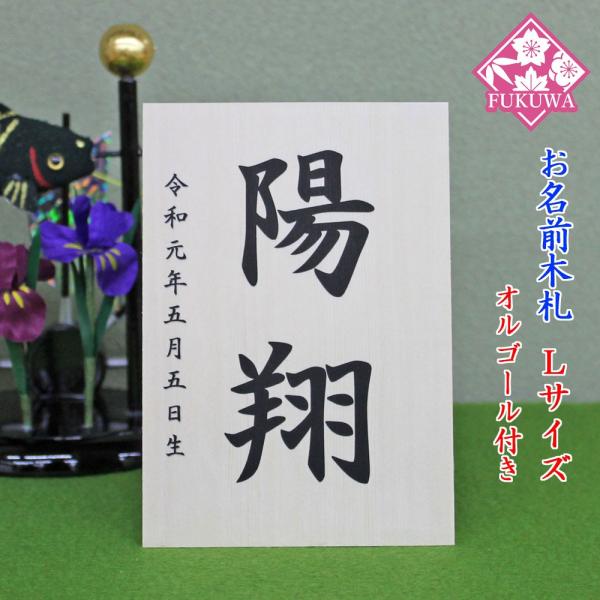 ܌l` O؎D RpNg IS[tyOD Vv (؃^Cv)zsiraki-TL01-O