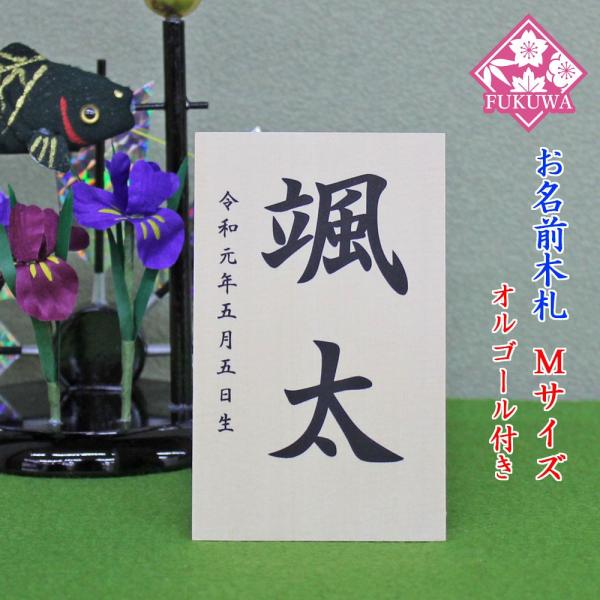 ܌l` O؎D RpNg yOD Vv  lTCY IS[t(؃^Cv)zSIRAKI-TM01-O