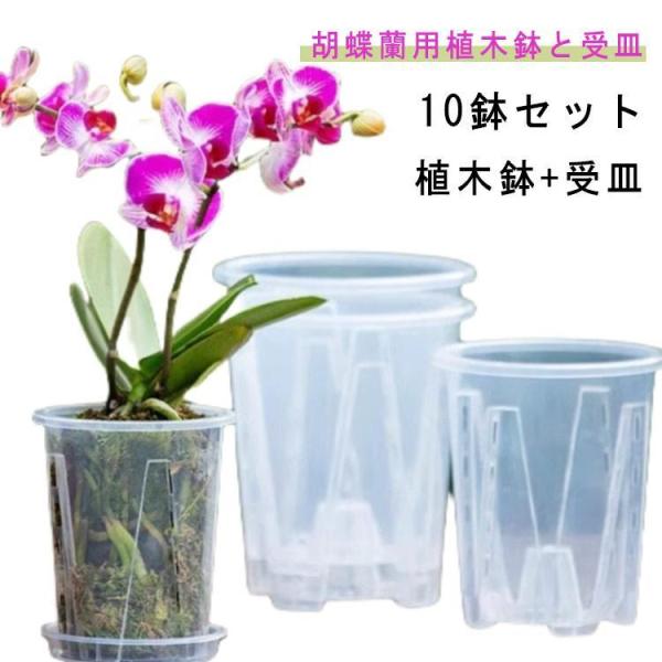 植木鉢 透明 10鉢セット 蘭の鉢 蝶蘭 穴付き 屋内 植木鉢 胡蝶蘭鉢 オーキッドポット 受皿付き 植木鉢 屋外 胡蝶蘭の植え替え 洋蘭鉢 観葉植物