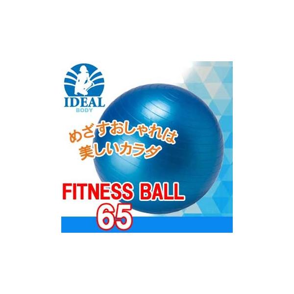 �A�C�f�B�A���{�f�B IBFG-5759 �t�B�b�g�l�X�{�[�� 65cm �o�����X�{�[�� ��C����|���v�t