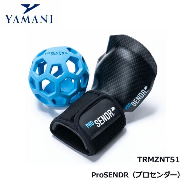 ☆ 美品 ProSENDR ゴルフ練習器具 プロセンダー 右利き用 YAMANI ヤマニ ゴルフ プロセンダー 右利き用 トレーニング器具