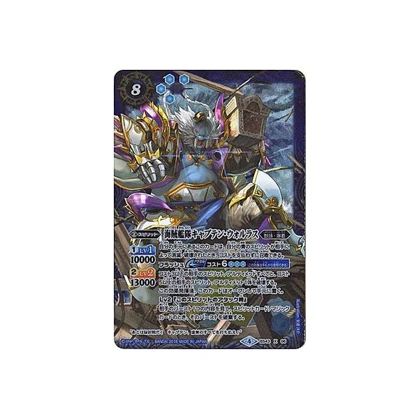 ogXsbc/BS43-X06 C͑LveEEHX X