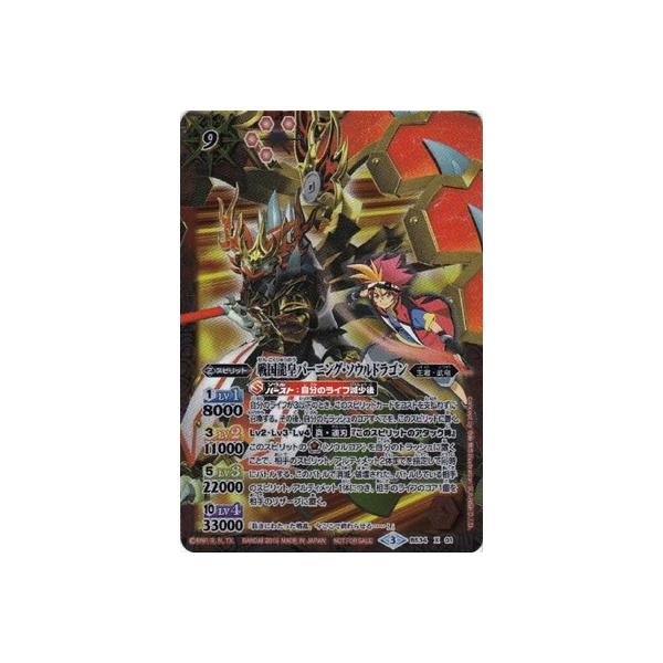 �y�o�g���X�s���b�c��΍� DVD-BOX�zBS34-X01 �퍑���c�o�[�j���O�E�\�E���h���S�� X�y2016�z