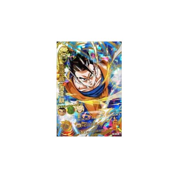 ドラゴンボールヒーローズ H6-30 孫悟飯：青年期 ドラゴンボールヒーローズ H6-30 孫悟飯：青年期の通販