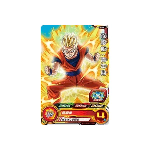 �X�[�p�[�h���S���{�[���q�[���[�Y/PCS4-05 ����сF�N��