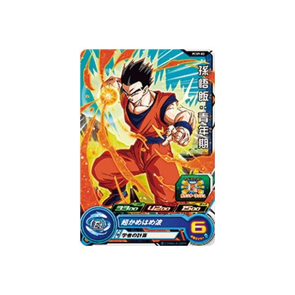 X[p[hS{[q[[Y PCS9-02 сFN