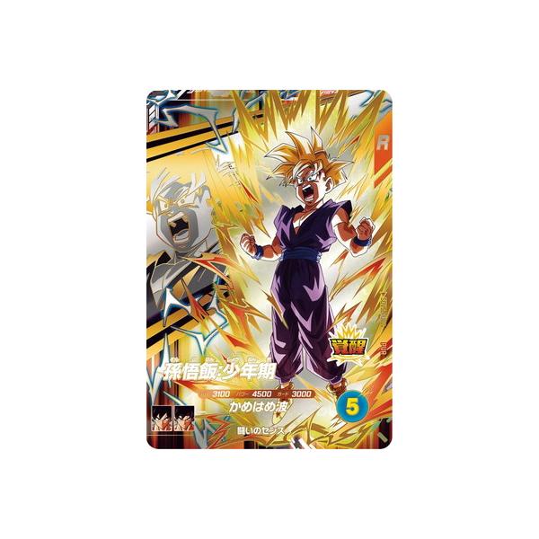 BANDAI（バンダイ） ドラゴンボールスーパーダイバーズ SDV5-PUR2 孫悟