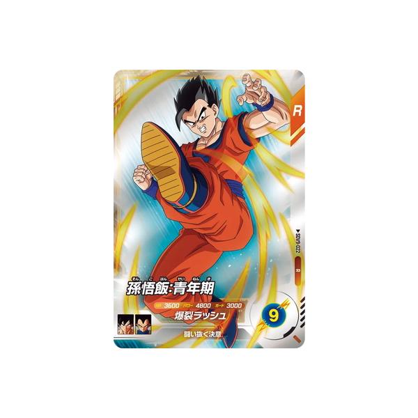 BANDAI（バンダイ） ドラゴンボールスーパーダイバーズ SDV9-022 孫悟