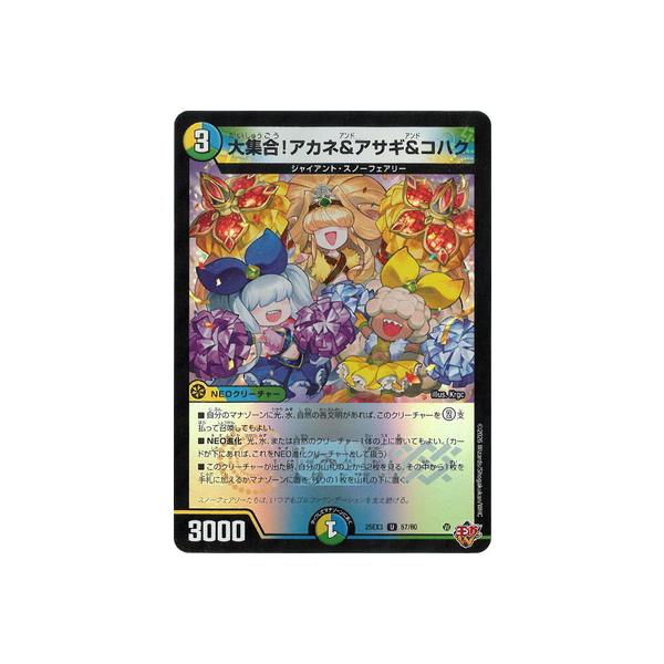 デュエル・マスターズ デュエルマスターズ/DM25-EX3/57/U/大集合