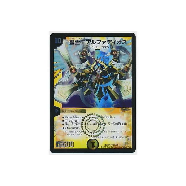 fG}X^[Y/DMX-21/30/SR/쉤At@fBIX