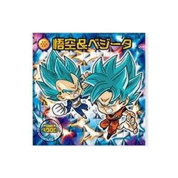 hS{[ mV[EGn[XZ W5-14 󁕃xW[^ GR