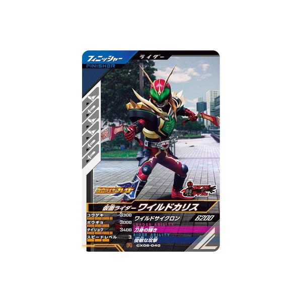 BANDAI（バンダイ） ガンバレジェンズ CX06-040 仮面ライダーワイルド