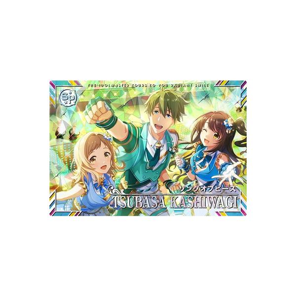 アイドルマスター TOURS 柏木翼 ノーブルプライド パラレル SSR