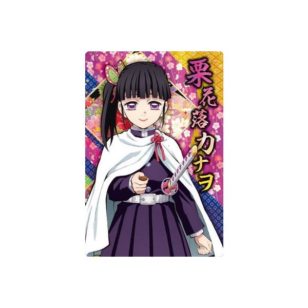 Sł̐nEGn[X5 005 IԗJi (2616348)