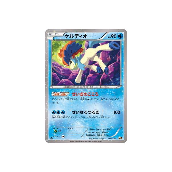 |PJ[hQ[ PK-CP5-013 PfBI