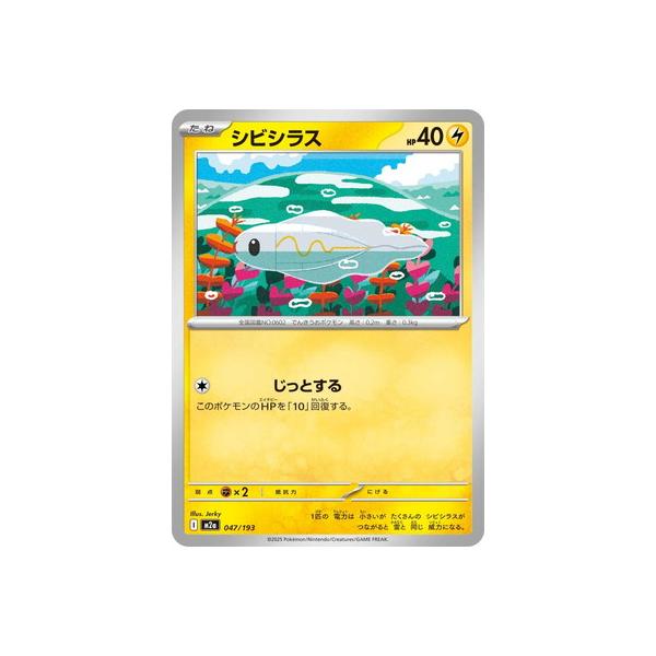 ポケモンカードゲーム PK-M2a-249 サーファー SAR