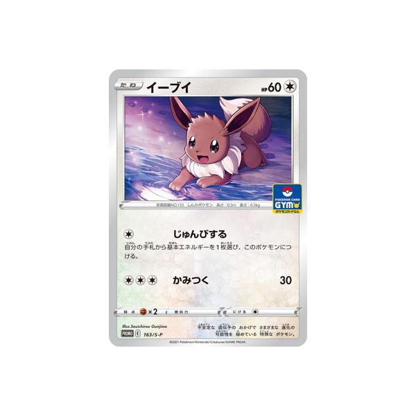 |PJ[hQ[ PK-S-P-163 C[uC