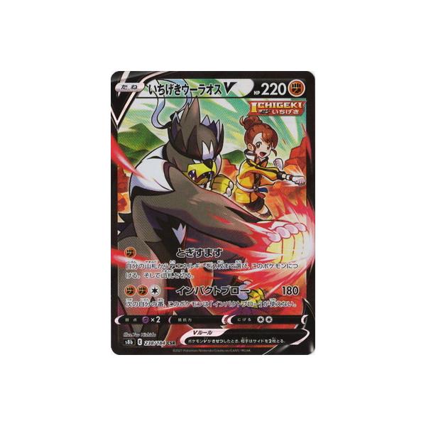 �|�P�����J�[�h�Q�[�� PK-S8b-238 ���������E�[���I�XV CSR