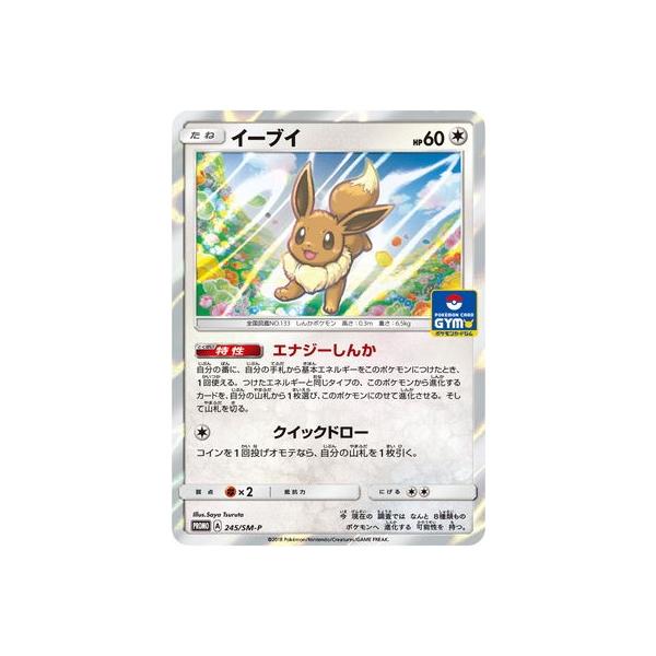 |PJ[hQ[/PK-SM-P-245 C[uC