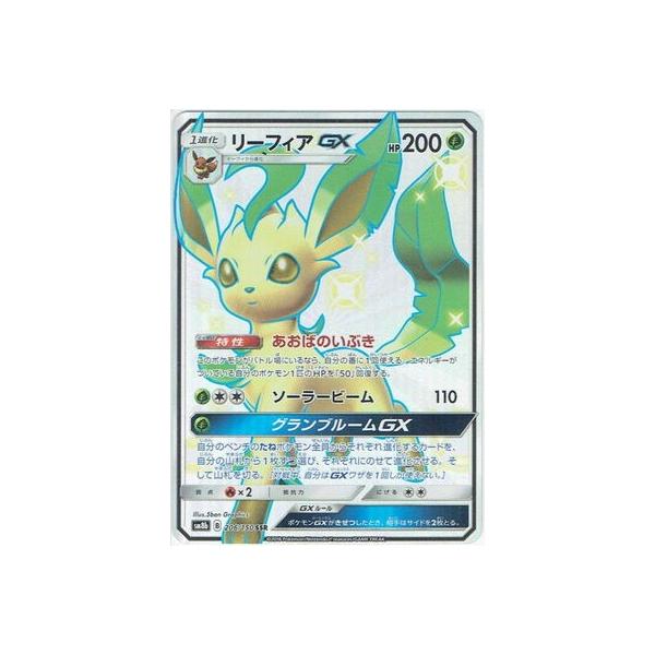 |PJ[hQ[/PK-SM8b-206 [tBAGX@SSR