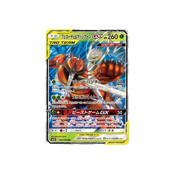 �|�P�����J�[�h�Q�[��/PK-SM9b-001 �t�F���[�`�F&amp;�}�b�V�u�[��GX RR