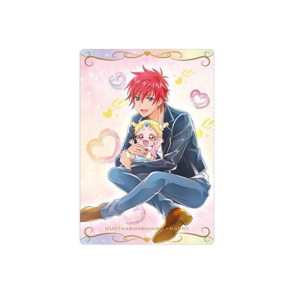 vLAJ[hEGn[X No.17 ͂񁕃nnEn[ N