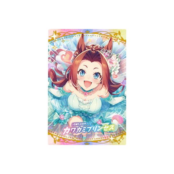 W2-23 mԉł́IInJJ~vZX E} veB[_[r[ cCEGn[X2R