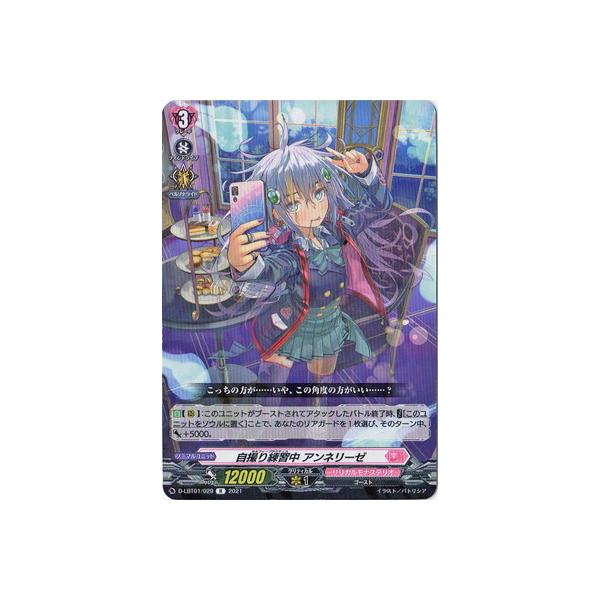 �J�[�h�t�@�C�g!! ���@���K�[�h D-LBT01�^029�@���B����K�� �A���l���[�[�@R